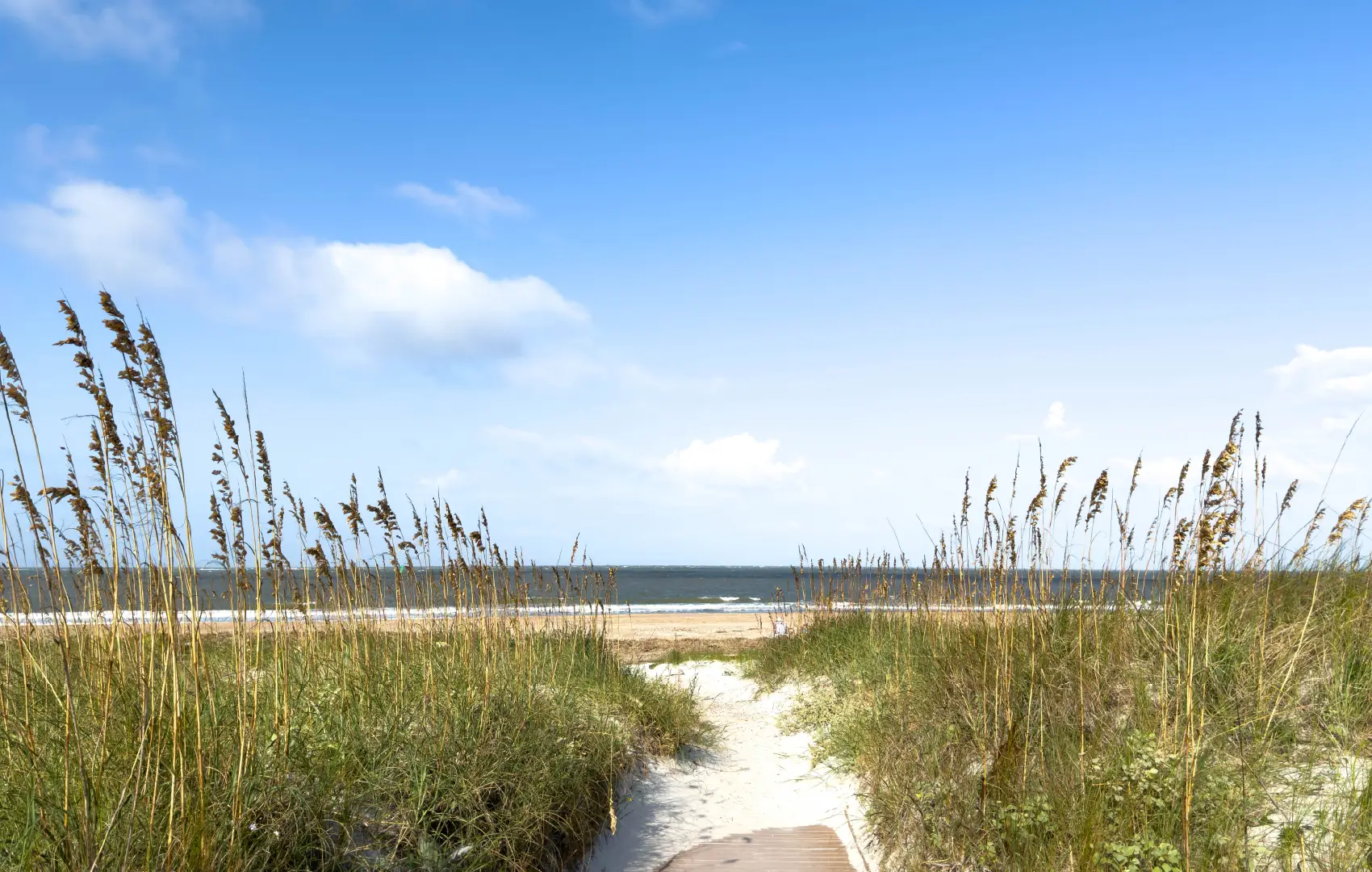 henderson beach state park florida